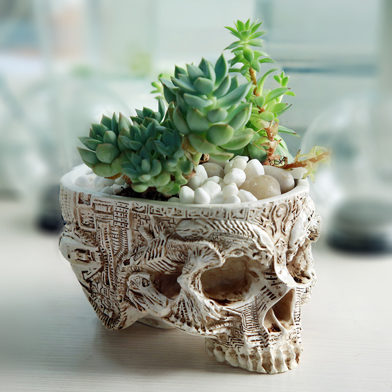 할로윈 해골 꽃 냄비 고딕 해골 화분 컨테이너 주최자  - Snake Plant Ceramic 리뷰 및 가격